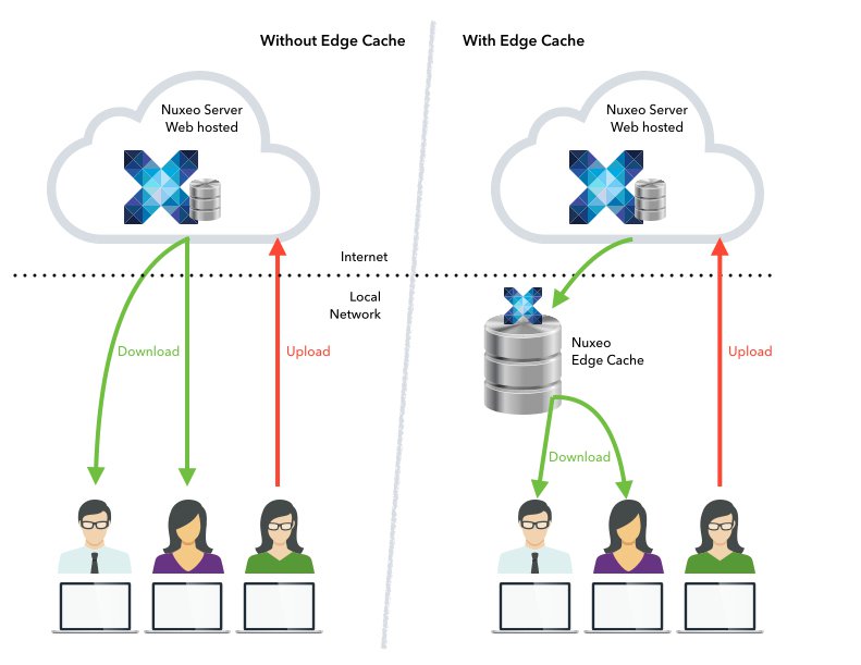 download-workflow