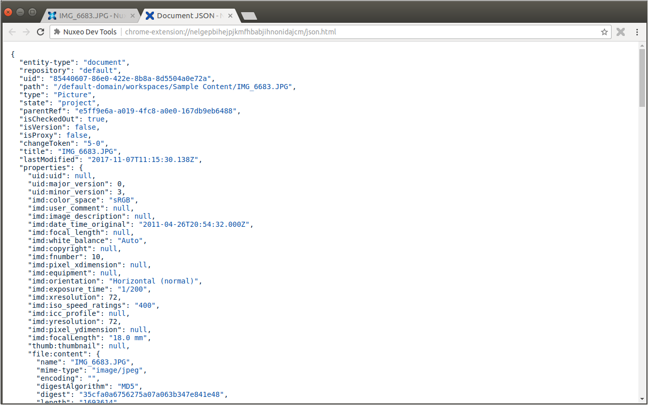 JSON Export of a document using the Nuxeo Dev Tools extension